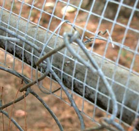 Unchain Your Dog Extend Height of Fence Make Fence Taller